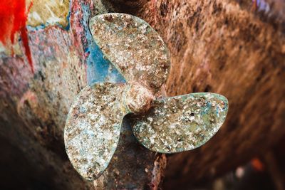 Close-up of rusty rock