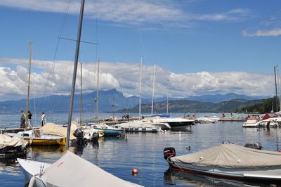 Sailboats moored at harbor