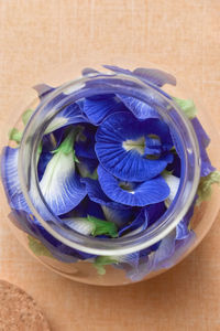 High angle view of blue flower in container on table