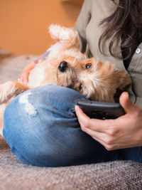 Close-up of woman holding dog at home
