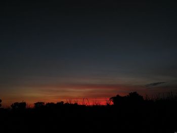 Silhouette trees against sky at night