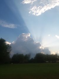 Sunlight streaming through trees on field against sky