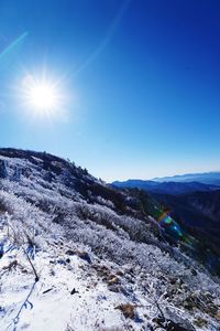 Scenic view of agricultural field against clear blue sky