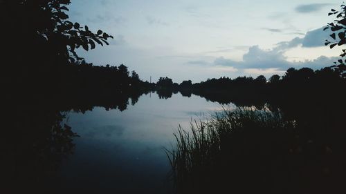 Silhouette of trees at sunset