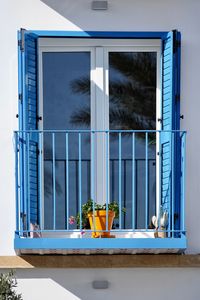 Potted plants on window sill of building