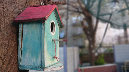 Birdhouse on tree