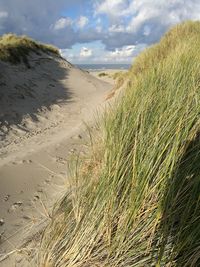 Scenic view of beach against sky