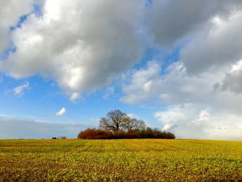 Scenic view of field against cloudy sky