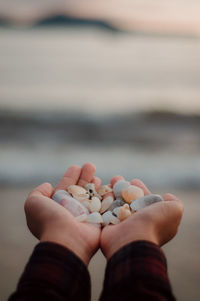 Close-up of hand holding pebbles at beach