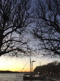 Bare trees against sky at sunset