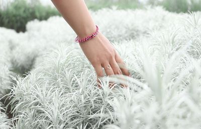 Midsection of woman touching plants on field