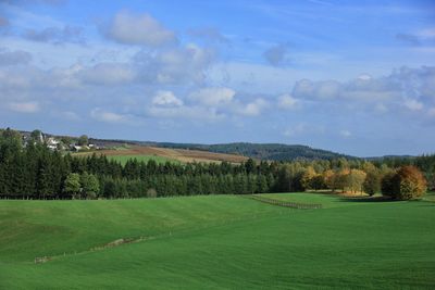 Scenic view of golf course against sky