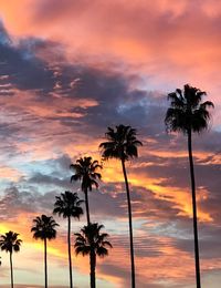 Silhouette palm trees against sky during sunset