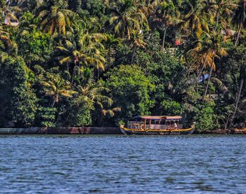 Scenic view of river against trees