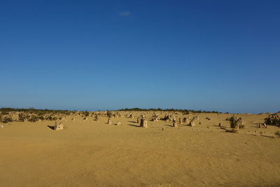 Panoramic view of desert against clear blue sky