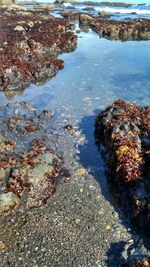 High angle view of stream by sea