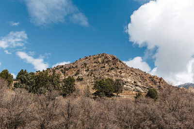 Hill and bare trees against sky