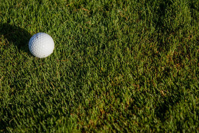 High angle view of golf ball on golf course
