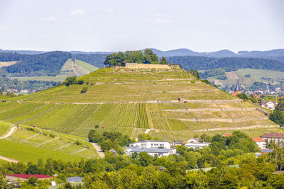 Scenic view of agricultural landscape against sky