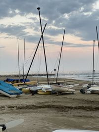 Sailboats moored in marina