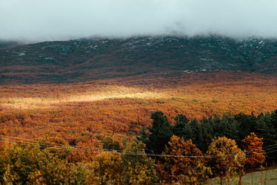 Scenic view of landscape against sky during autumn