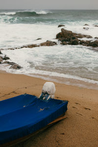 Scenic view of beach