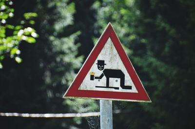 Close-up of road sign against trees