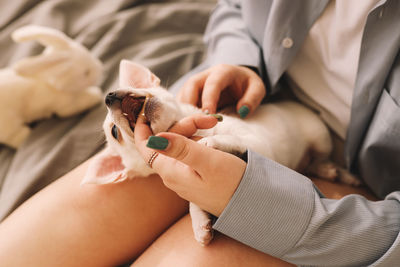 A small lonely sad dog puppy is resting sleeping on the bed in the bedroom waiting for the owner