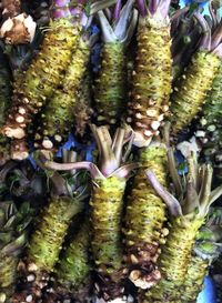 Fish for sale at market stall