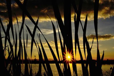 Sun shining over sea