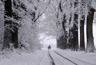 Mid distance view of people on snow covered field