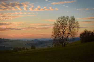 Scenic view of field against sky during sunset