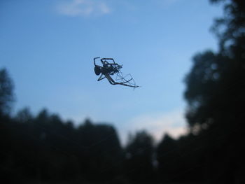 Low angle view of silhouette spider against sky