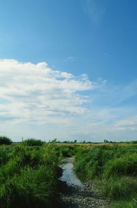 Scenic view of grassy field against cloudy sky