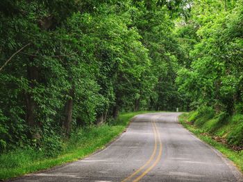 Road amidst trees in forest