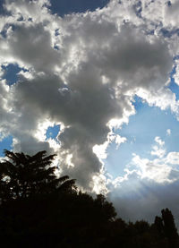 Low angle view of silhouette trees against sky