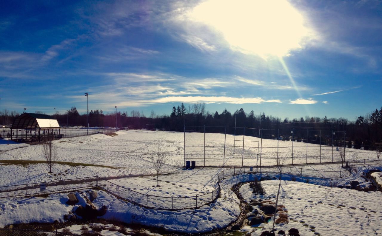 winter, snow, cold temperature, sky, nature, sunlight, tree, day, beauty in nature, outdoors, no people, tranquil scene, tranquility, landscape