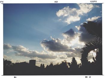 Low angle view of silhouette trees against sky at sunset