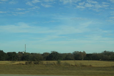 Trees on field against sky