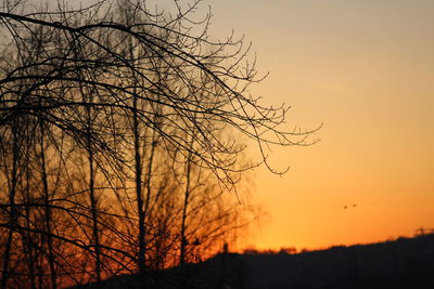 Low angle view of silhouette bare trees against sky