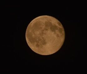 Low angle view of moon in sky