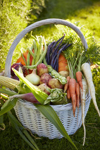 Vegetables in basket