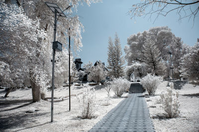 Footpath amidst trees and buildings against sky during winter