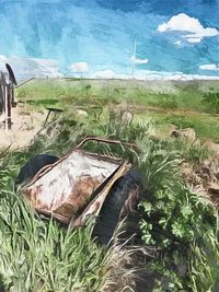 View of dead plants on land