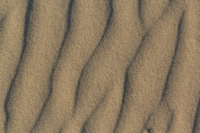 Full frame shot of sand dune