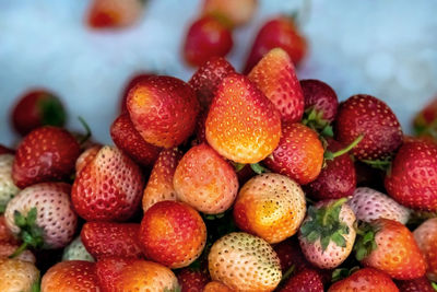 Close-up of strawberries