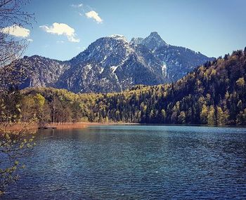 mountain