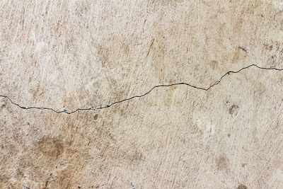 Close-up of cracked wall