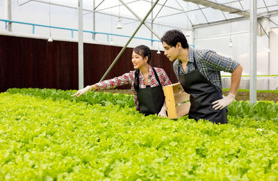 Asian farmer couple work in hydroponic vegetable greenhouse farm with happiness and joyful in row