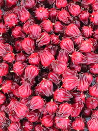 Roselle calyx can be made into preserves, jams, juices